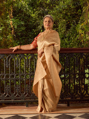 Zari Jaal Woven Banarasi Saree