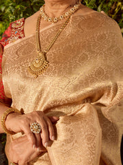 Zari Jaal Woven Banarasi Saree