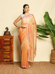 Cut Work & Stone Embellished Tissue Saree