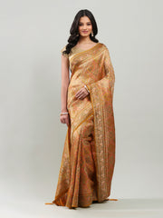 Zari Jaal Georgette Woven Saree