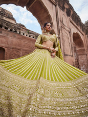 Resham Zari Embroidery Georgette Choli With Lehenga & Dupatta