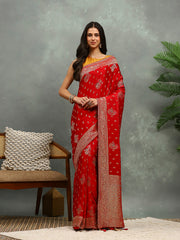 Stone Work Satin Embroidery Saree