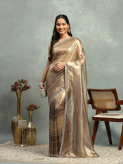 Embelished Tissue Saree