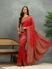 Cutdana Organza Embroidery Saree