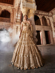 Sequin Embroidered Georgette Choli With Lehenga & Dupatta