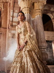Sequin Embroidered Georgette Choli With Lehenga & Dupatta