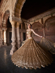 Sequin Embroidered Georgette Choli With Lehenga & Dupatta