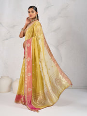 Embroidered Tissue Linen Saree
