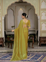 Sequence Embroidery Organza Saree