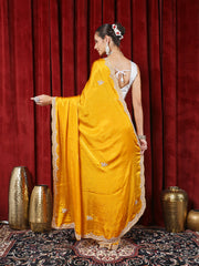 Stone Embroidered Chinon Saree