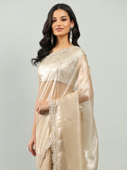 Sequence Embroidery Tissue Saree