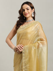 Sequence Embroidery Tissue Saree