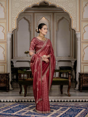 Sequence Embroidery Organza Saree