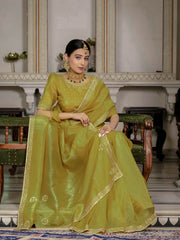 Sequence Embroidery Organza Saree