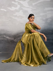 Embroidered Chiffon Saree