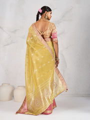 Embroidered Tissue Linen Saree