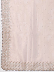 Sequence Embroidery Tissue Saree