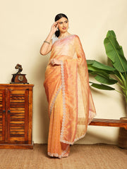 Cut Work & Stone Embellished Tissue Saree