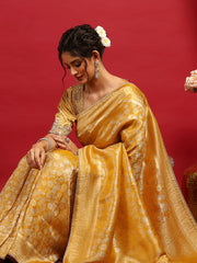 Embroidered Dola Silk Saree