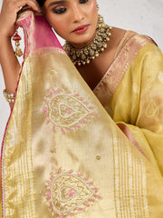 Embroidered Tissue Linen Saree