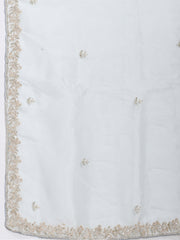 Sequence Embroidery Tissue Saree