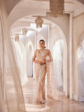 Sequin Border Work Tissue Saree