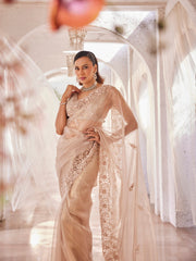 Sequin Border Work Tissue Saree