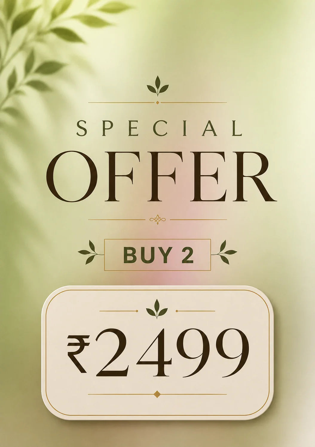 Buy 2 at 2499