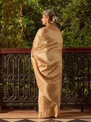 Zari Jaal Woven Banarasi Saree