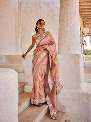 Sequin Embroidered Border Tissue Saree