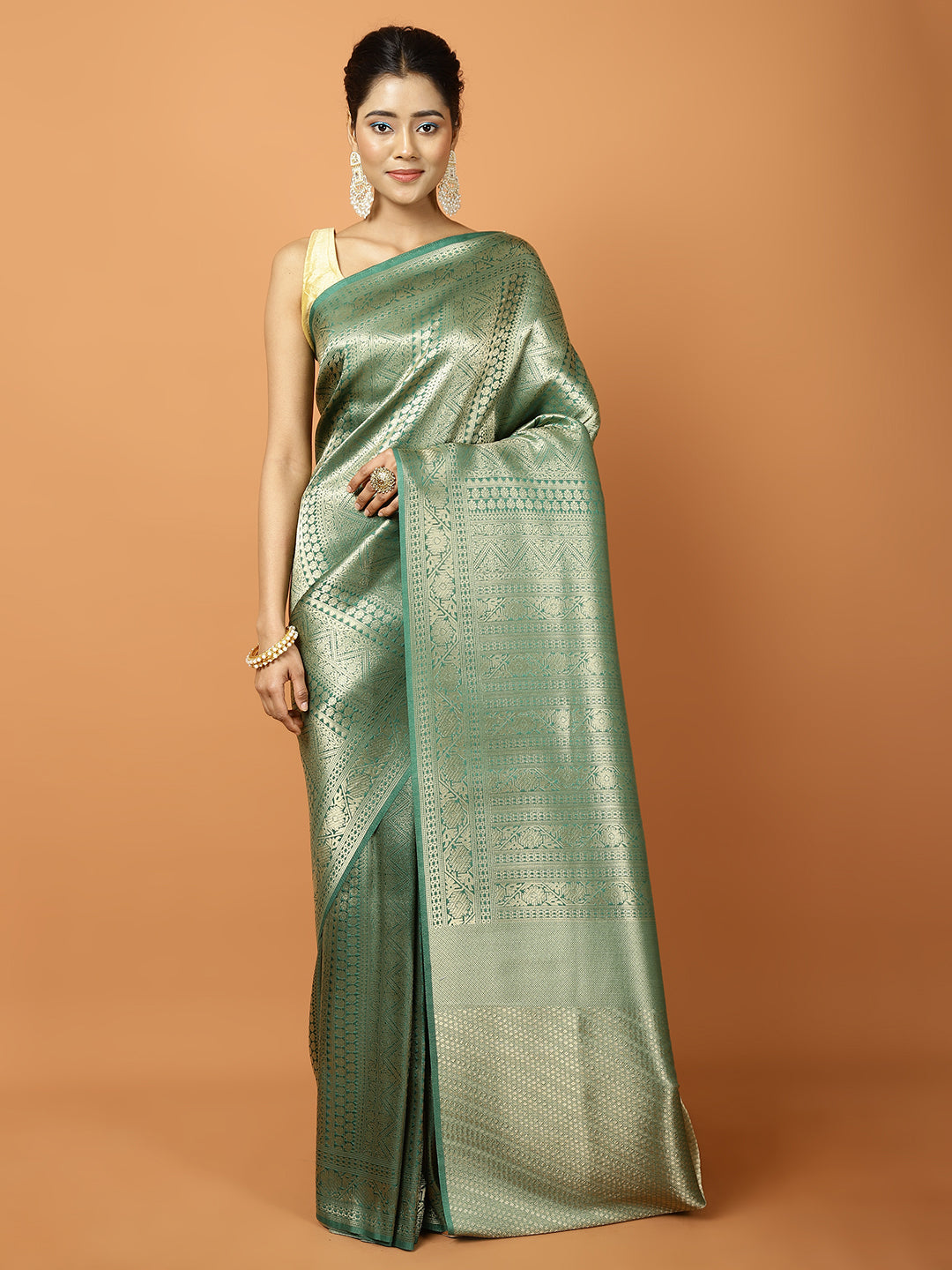 Zari Jaal Banarasi Woven Saree