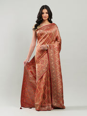 Zari Jaal Georgette Woven Saree