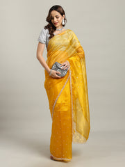 Sequence Embroidery Tissue Saree