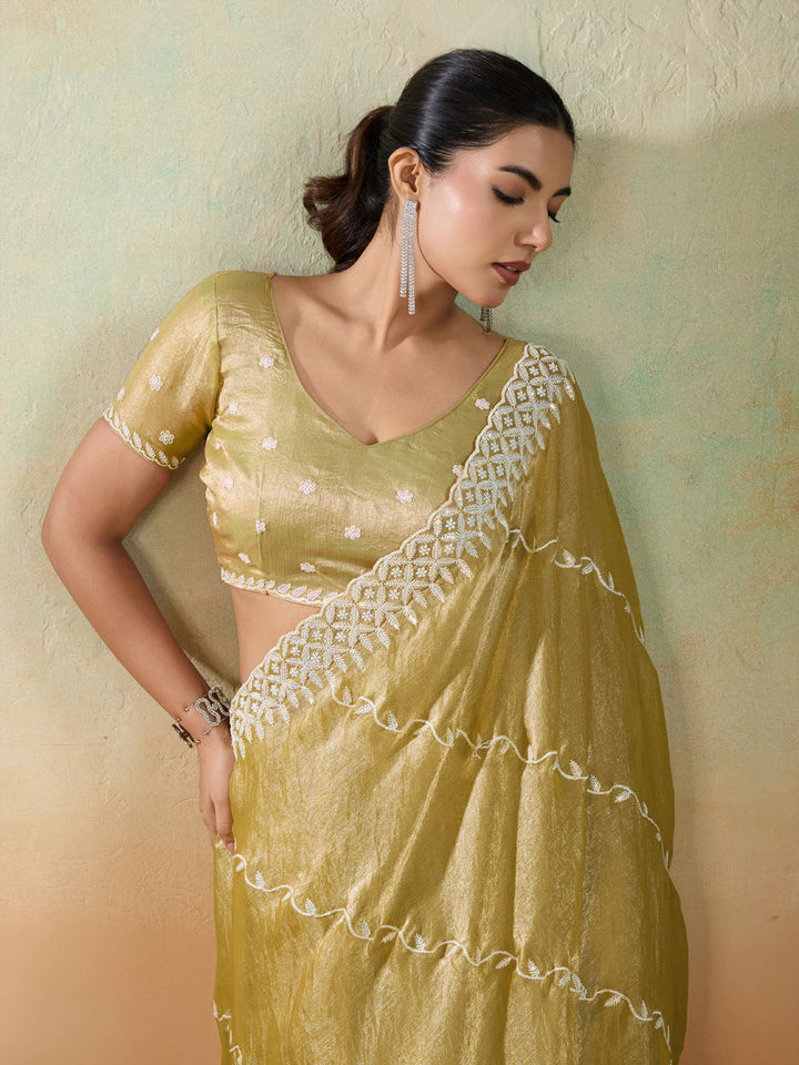 Embroidered Chiffon Velvet Saree