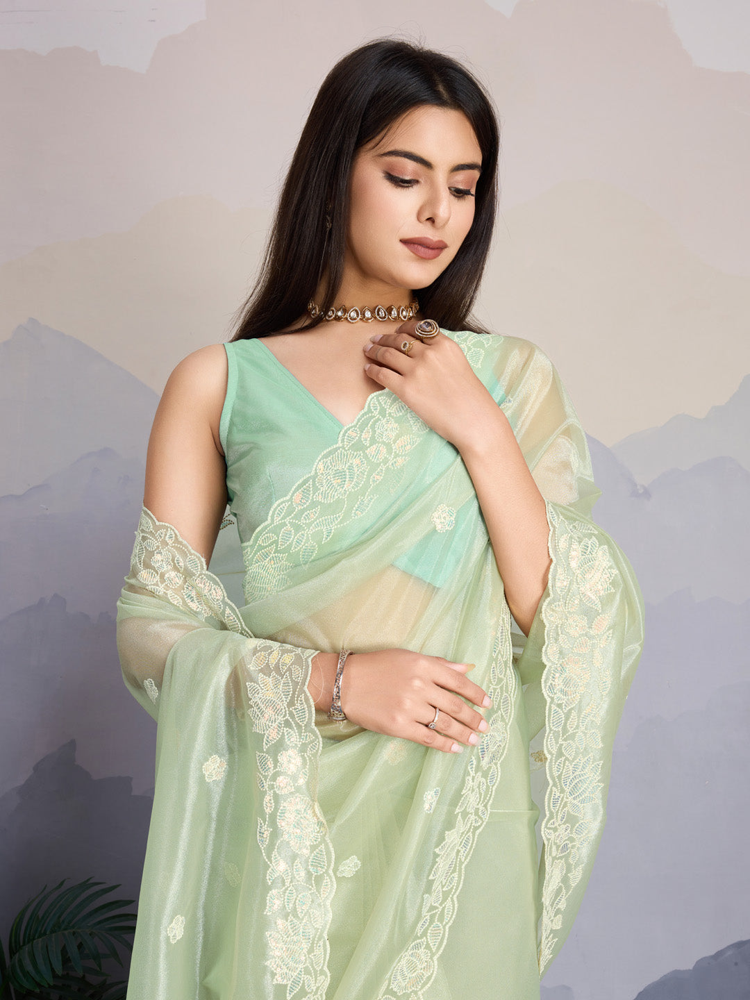 Embroidered Net Saree