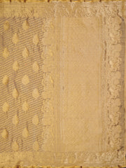 Zari Jaal Cotton Woven Saree