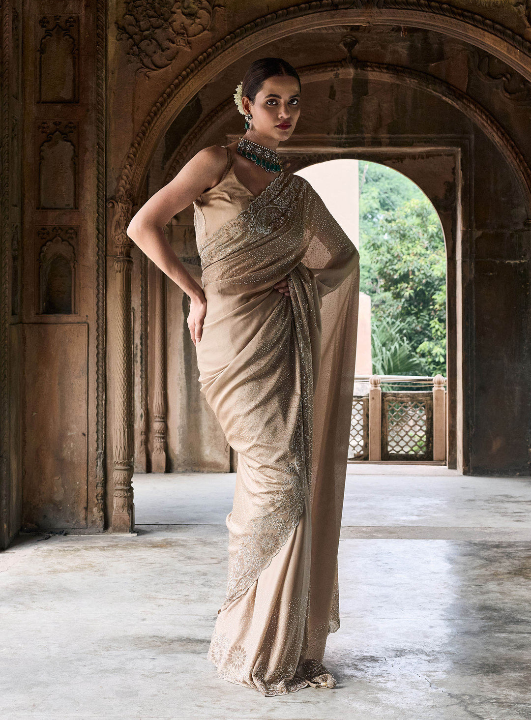 Beige Embroidered Georgette Saree