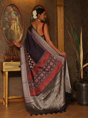 Abstract Printed Handloom Woven Saree