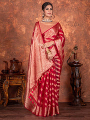 Stone Embroidery Organza Saree