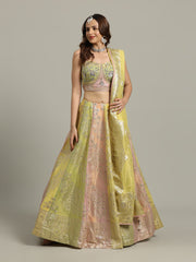 Multi Kali Tissue Choli With Lehenga & Dupatta