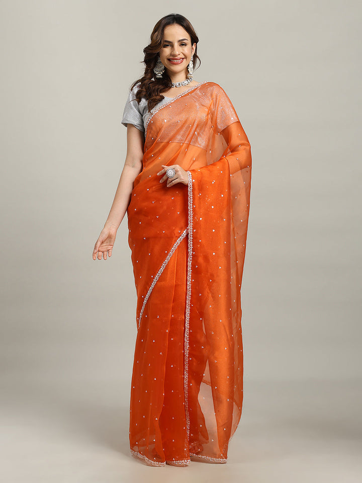 Sequence Embroidery Tissue Saree