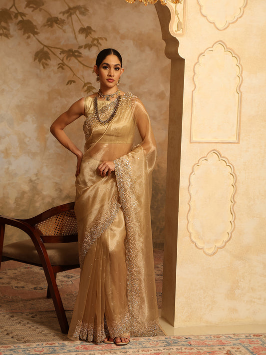 Sequin Embroidery Organza Tissue Saree