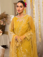 Resham Organza Dori Work Semi Stitched Suit