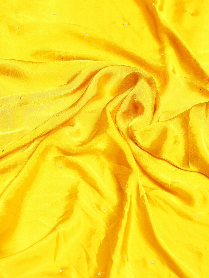 Stone Work Chinnon Saree