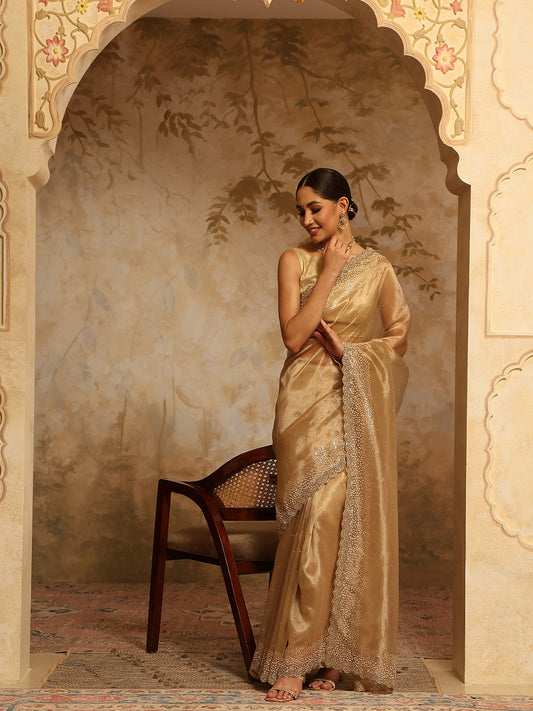 Sequin Embroidery Organza Tissue Saree