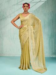 Embroidered Chiffon Saree