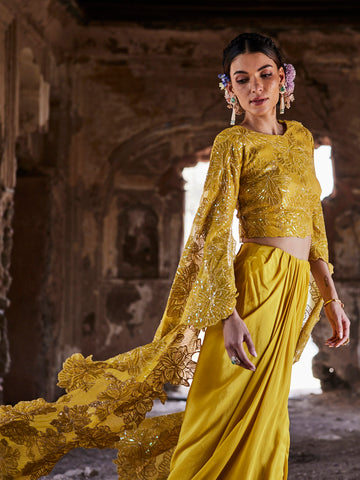 Resham Sequin Embroidered Crepe Choli With Pleated Skirt