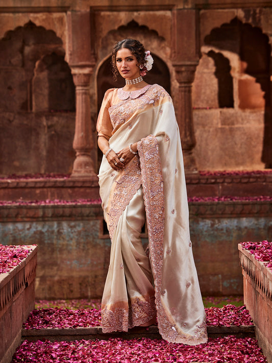 Sequin Embroidery Banarasi Tissue Saree