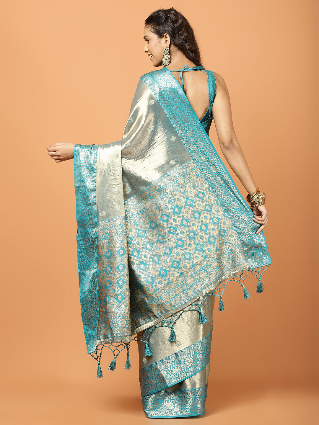 Plain Zari Border Banarasi Woven Saree