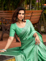 Embroidered Chiffon Saree